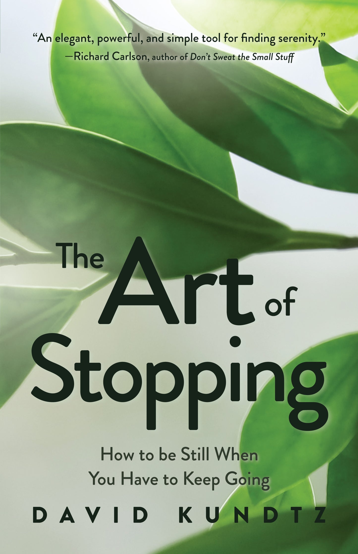 The Art of Stopping: How to Be Still When You Have to Keep Going (Mindfulness Meditation, Coping Skills) by David Kundtz