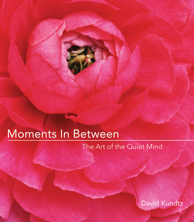 Moments in Between: The Art of the Quiet Mind (Daily Meditations; Inspiration Book for Women)