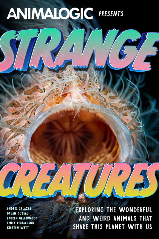 Strange Creatures: Exploring the Wonderful and Weird Animals that Share this Planet with Us